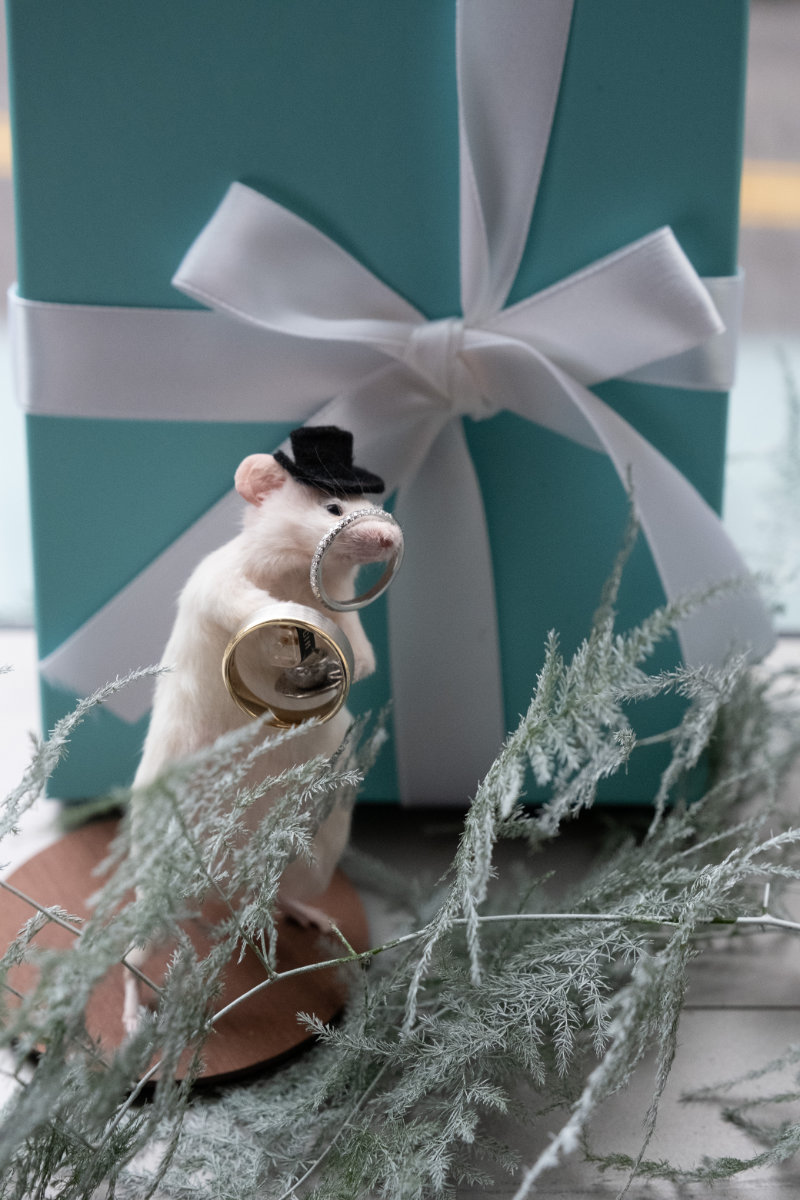 wedding rings displayed on taxidermied mouse in front of Tiffanys box
